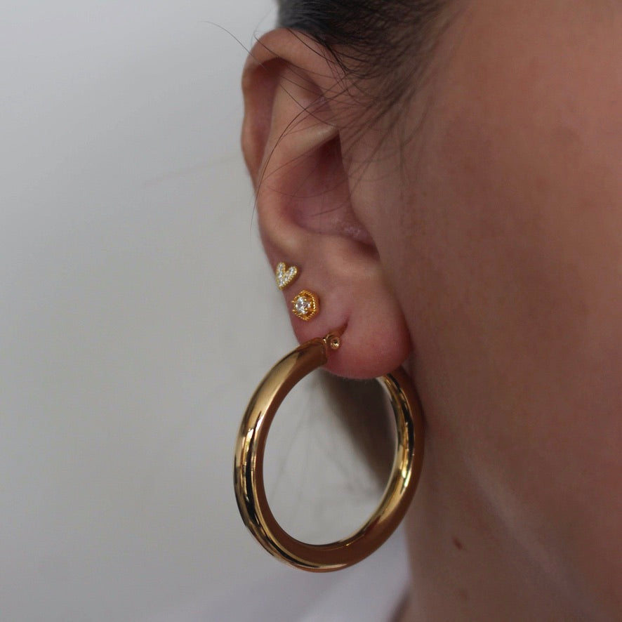 Ari Hoops